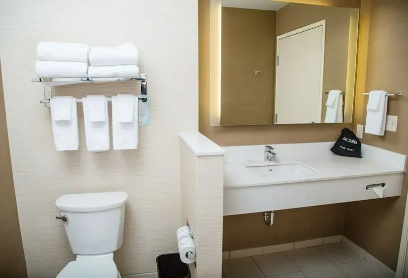 スイート, Fairfield Inn & Suites By Marriott Pocatello