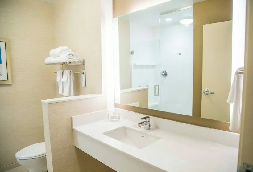 スイート, Fairfield Inn & Suites By Marriott Pocatello