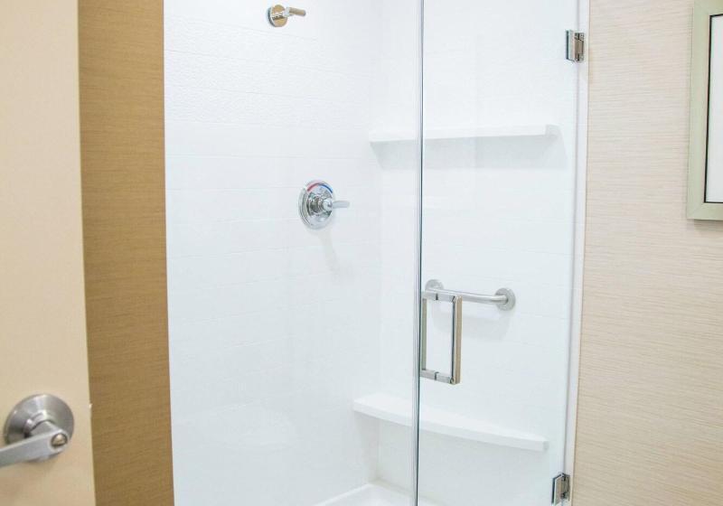 غرفة قياسية سرير كينج, Fairfield Inn & Suites By Marriott Pocatello