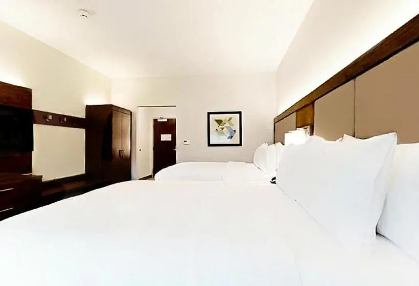 身障者適用スタンダードルーム, Holiday Inn Express & Suites Chalmette New Orleans S, An Ihg