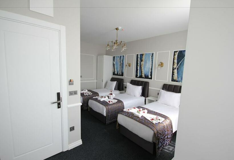 חדר סטנדרט לשלושה, Naumpasa Konagi