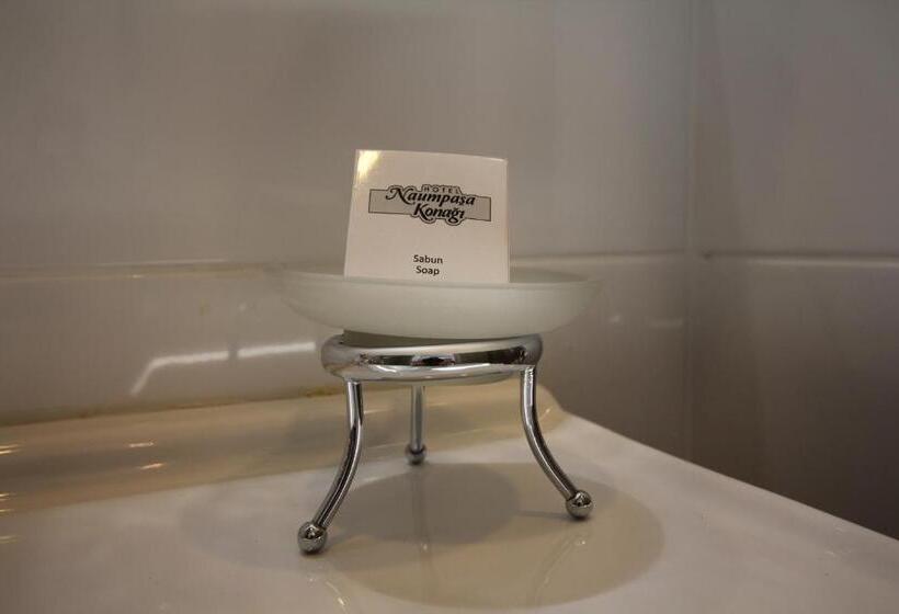 חדר סטנדרט לשלושה, Naumpasa Konagi