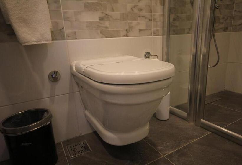 חדר סטנדרט לשלושה, Naumpasa Konagi