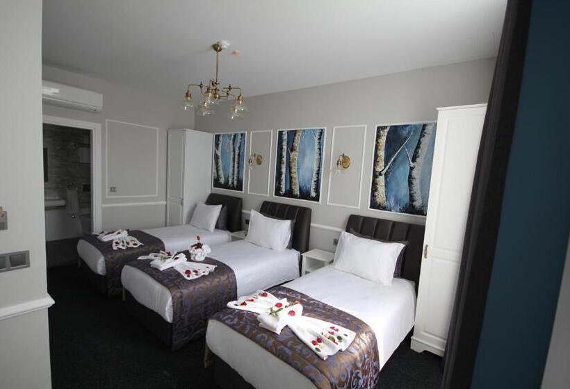 חדר סטנדרט לשלושה, Naumpasa Konagi