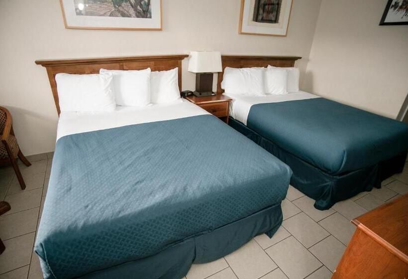 غرفة قياسية, Pacific Inn