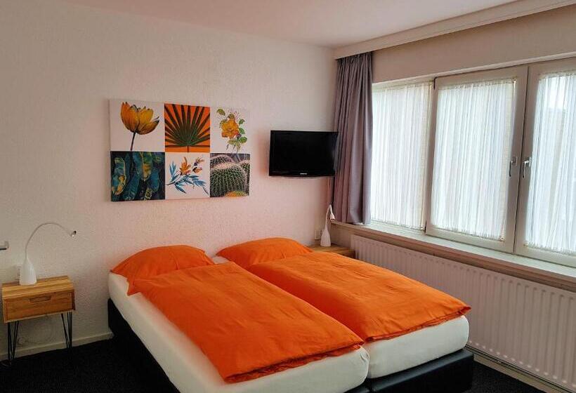 اتاق استاندارد, B&b Seahorse