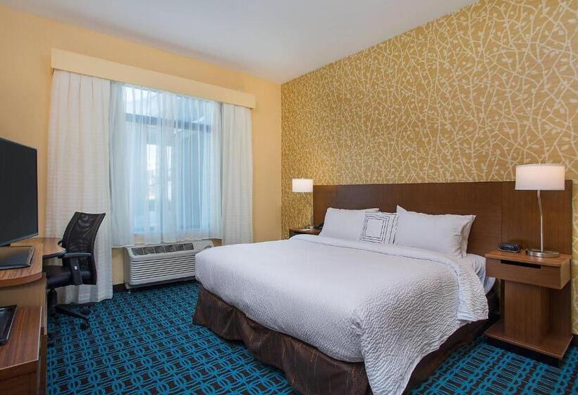 带大床的标准间, Fairfield Inn & Suites By Marriott Nashville Hendersonville