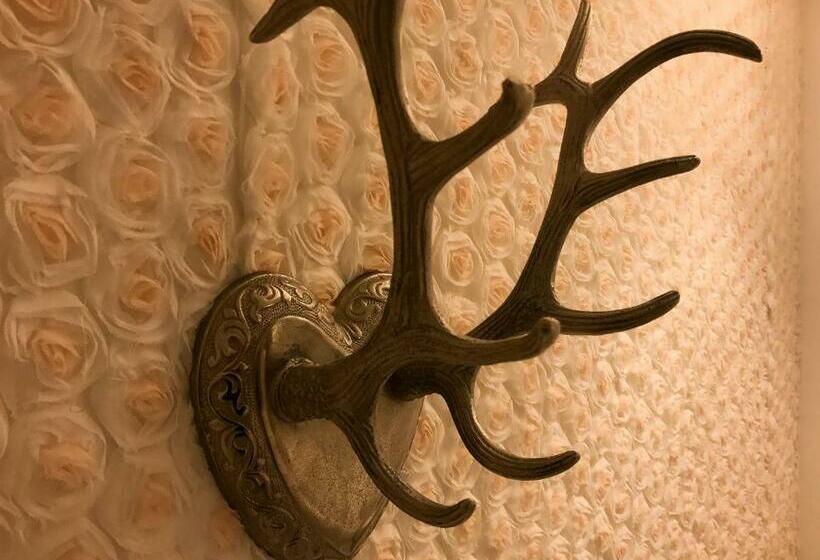 Camera Deluxe, The Music Fable