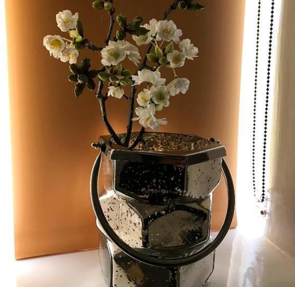 Camera Deluxe, The Music Fable