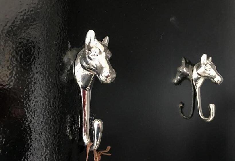 Camera Deluxe, The Music Fable