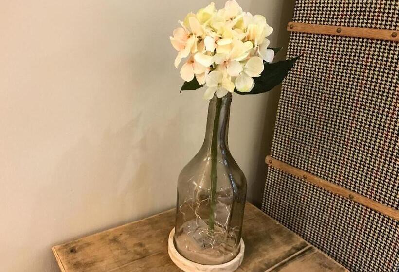 Camera Deluxe, The Music Fable