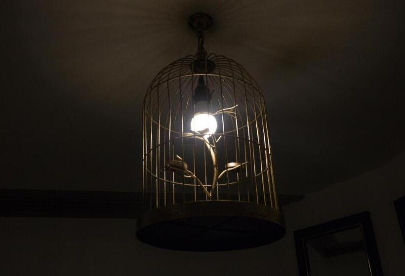 Camera Deluxe, The Music Fable