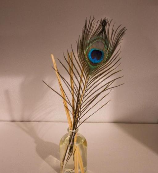 Camera Deluxe, The Music Fable