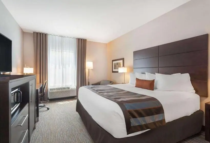 Standard-huone King-vuode, Wingate By Wyndham Altoona Downtown/medical Center