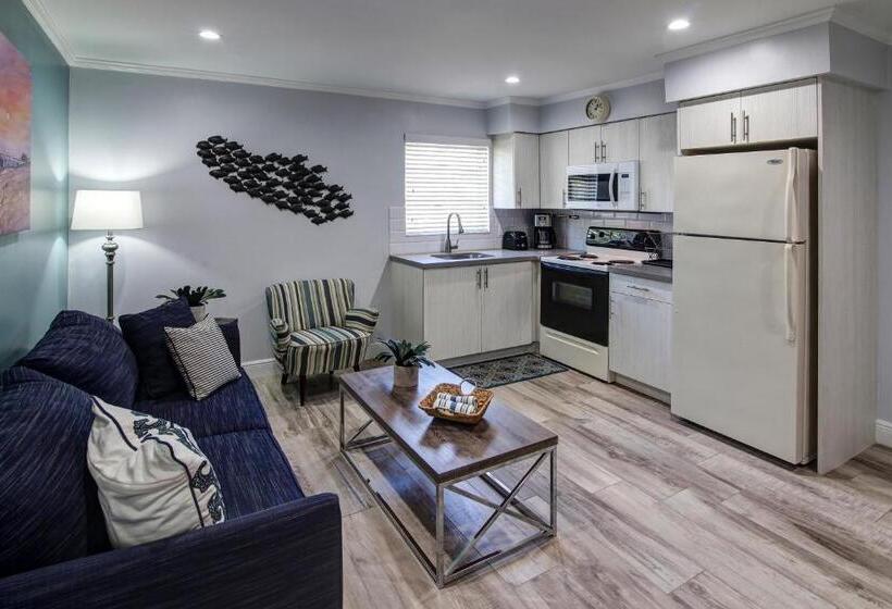 标准工作室, Maydee Suites In Florida