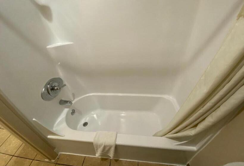 キングサイズベッドのスタンダードルーム, Regency Inn