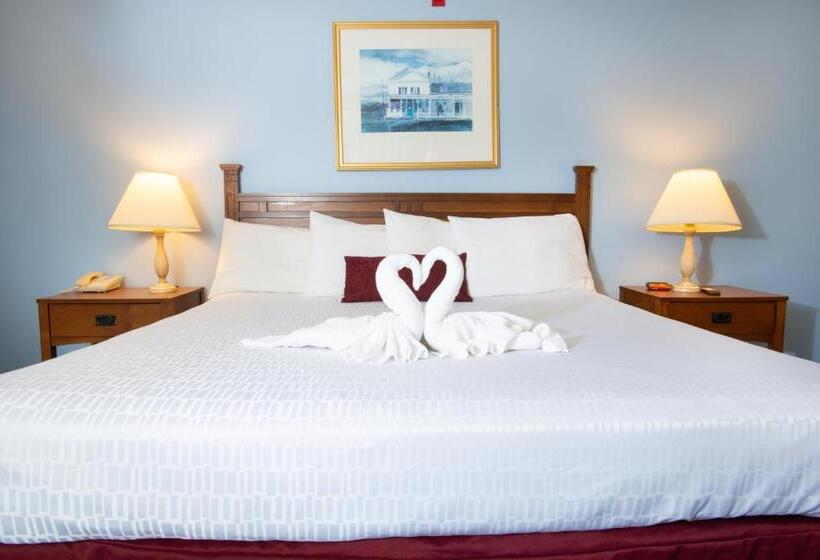 带大床的豪华间, Usa Inn