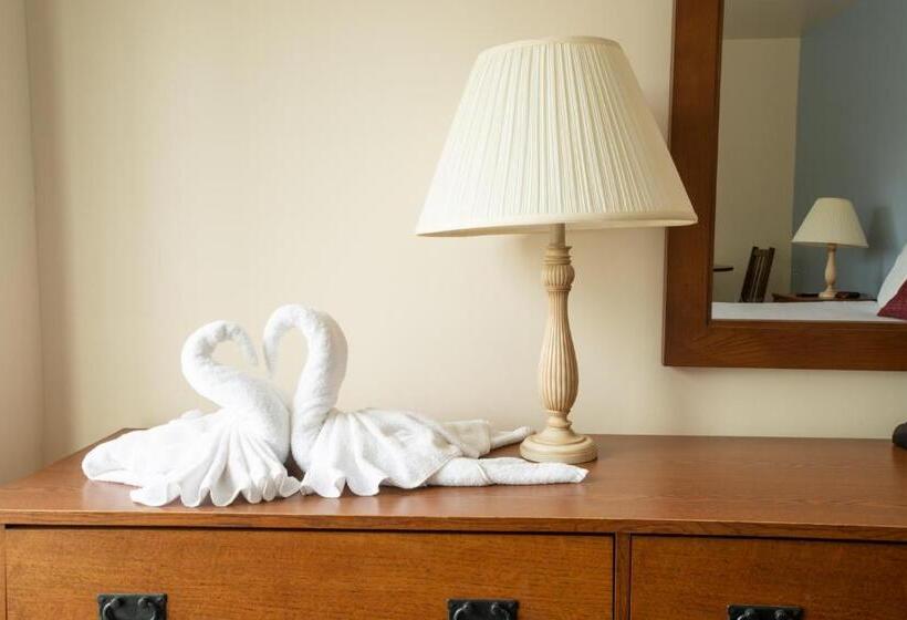 キングサイズベッドのデラックスルーム, Usa Inn