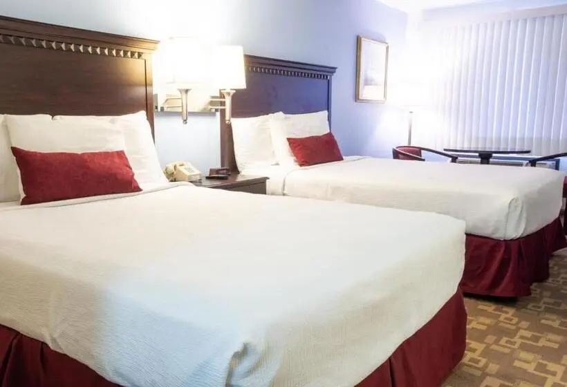 Deluxe Kolmen Hengen Huone, Usa Inn