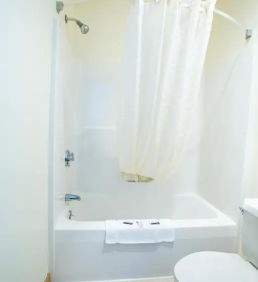 Standard-huone King-vuode, Usa Inn