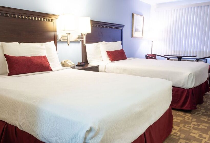 デラックスルーム, Usa Inn