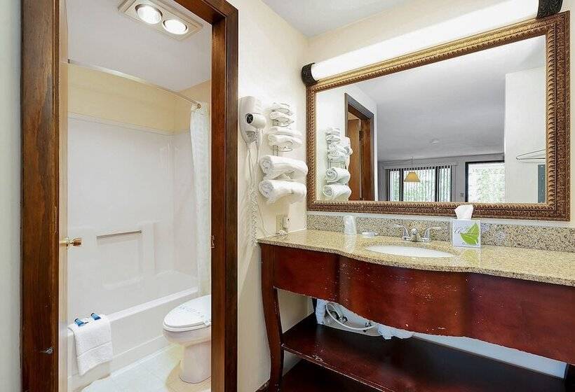Номер Deluxe, Usa Inn