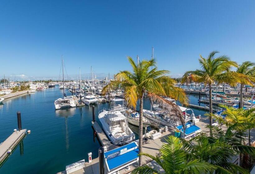 장애인을 위한 스탠다드 룸, The Perry Hotel & Marina Key West