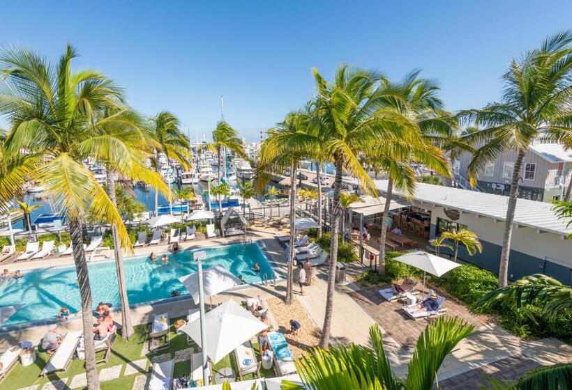 إستوديو قياسى سرير كينج, The Perry Hotel & Marina Key West