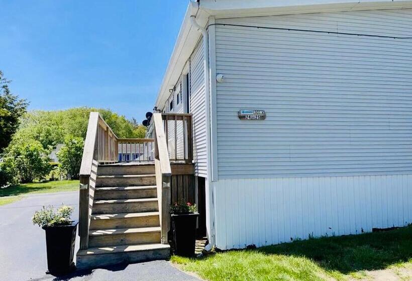 Номер Стандарт, Wells Moody Motel