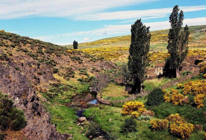 חדר סטנדרט, Rural La Dehesilla