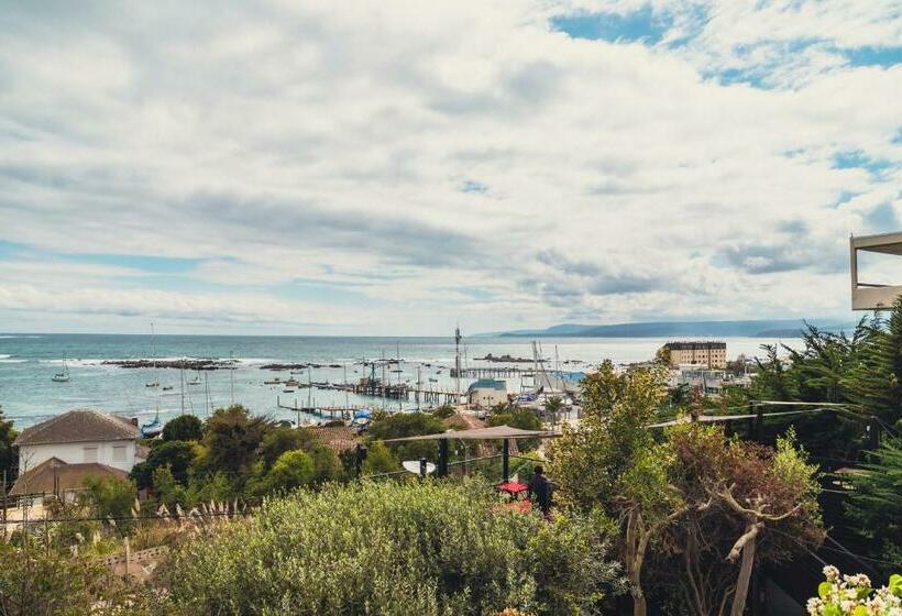 جناح سوبيريور مطل علي البحر, Winery Hotel Boutique