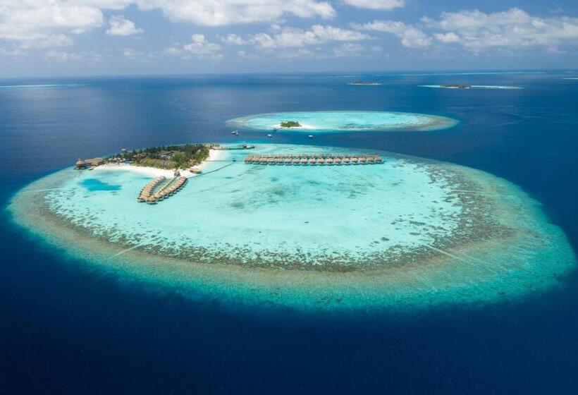 ویلای یک اتاق خوابه با استخر شنا, Outrigger Maldives Maafushivaru Resort