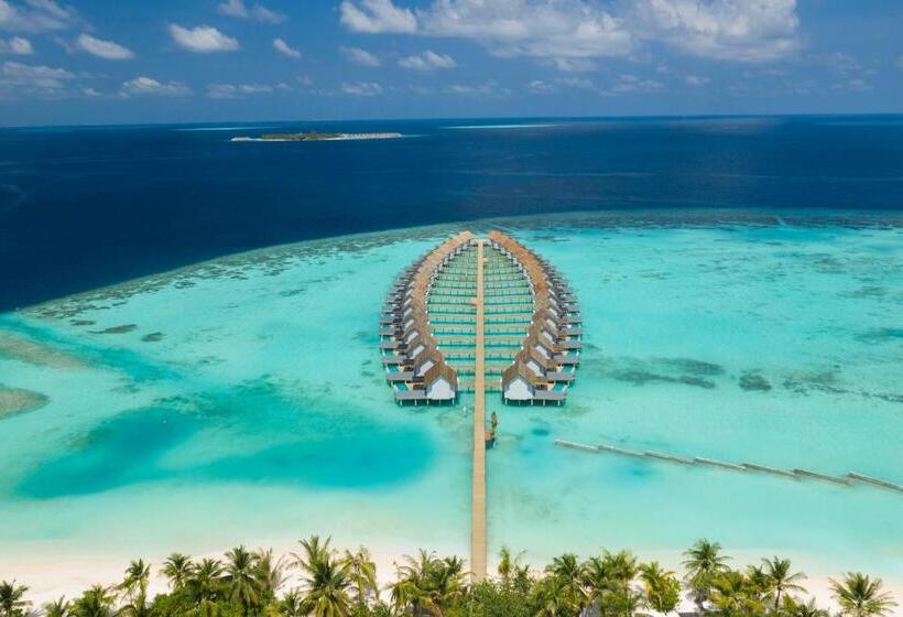 ویلای یک اتاق خوابه با استخر شنا, Outrigger Maldives Maafushivaru Resort