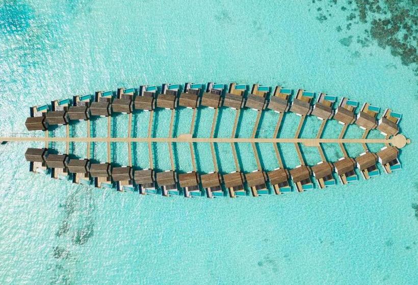 ویلای یک اتاق خوابه با استخر شنا, Outrigger Maldives Maafushivaru Resort