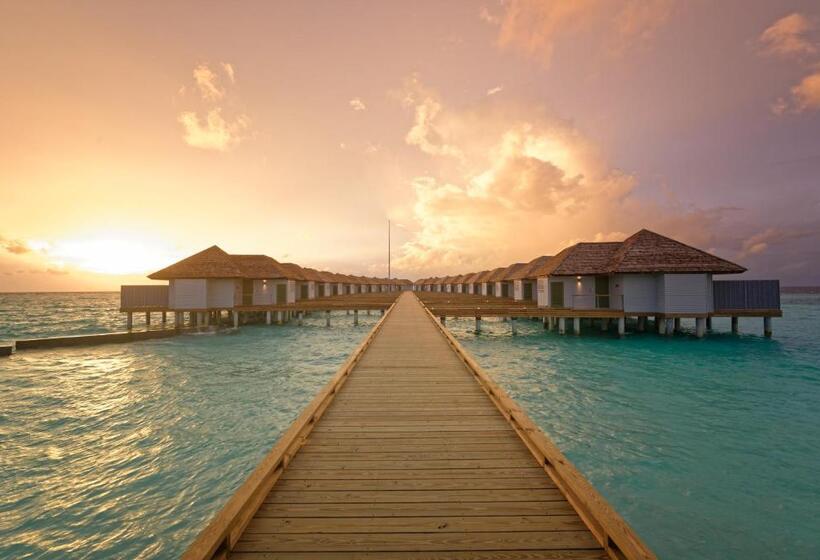 ویلای یک اتاق خوابه با استخر شنا, Outrigger Maldives Maafushivaru Resort
