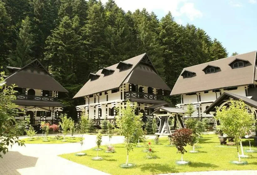Standard-huone, Complex Lions Bucovina