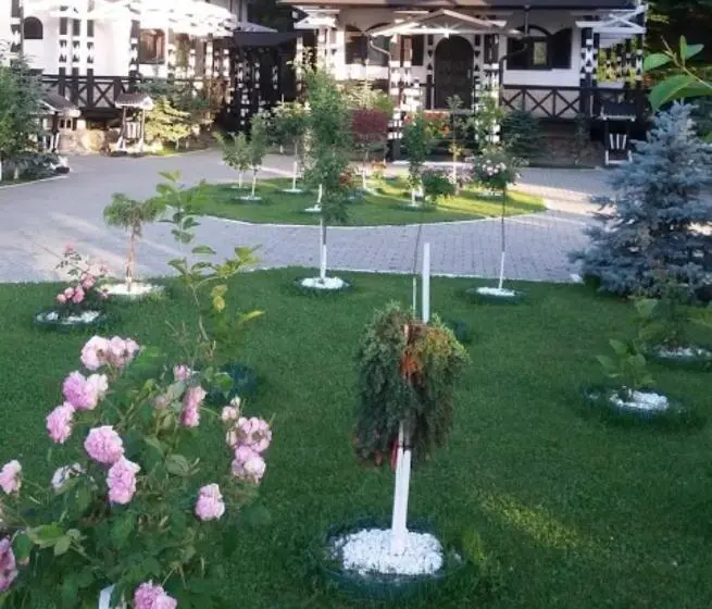 Sviitti, Complex Lions Bucovina