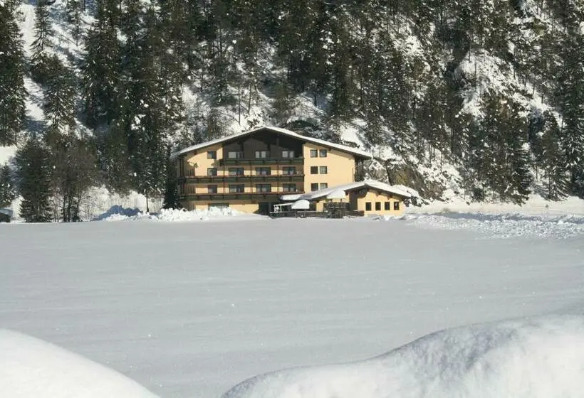 Habitació Comfort, Schönauer Hof
