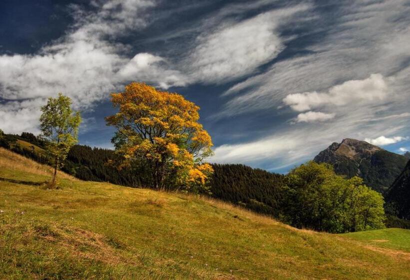 컴포트 룸, Schönauer Hof