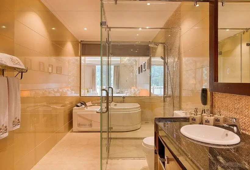 Premium Suite