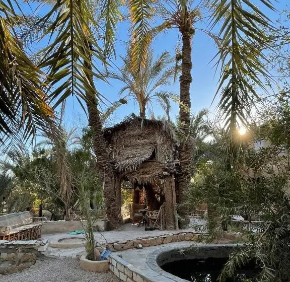 اتاق یک تخته با چشم‌انداز باغ, Shamofs Art Garden