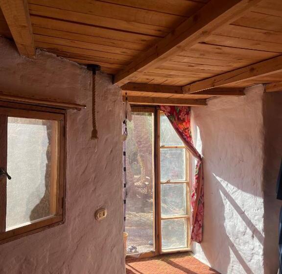 اتاق لوکس, Shamofs Art Garden