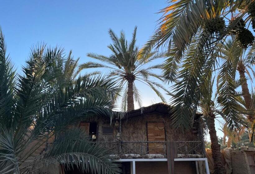 اتاق استاندارد, Shamofs Art Garden