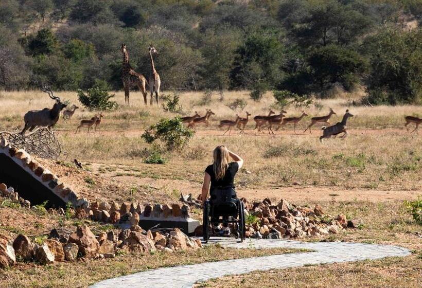 חדר סטנדרט, מיטת קינג, מותאם לאדם עם מוגבלויות, Ximuwu Safari Lodge