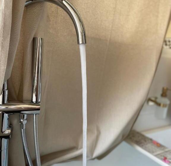 Standard Værelse m. Hydromassage, La Suite Drômoise 1809