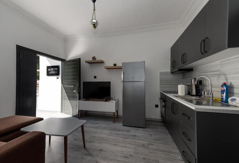 Номер Стандарт Внутренний, Nicosia Suites