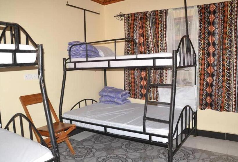 غرفة قياسية, Shaiya