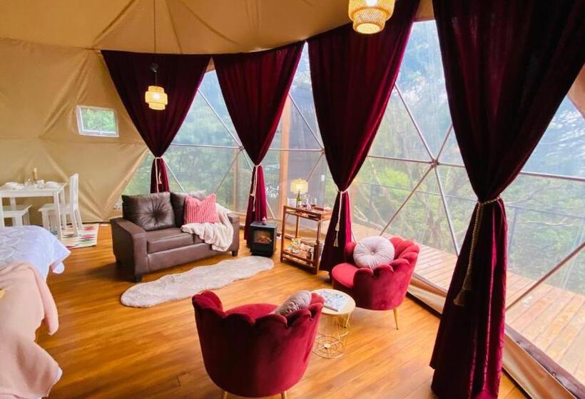 스위트 킹사이즈 침대, Féliza Rainforest Domes