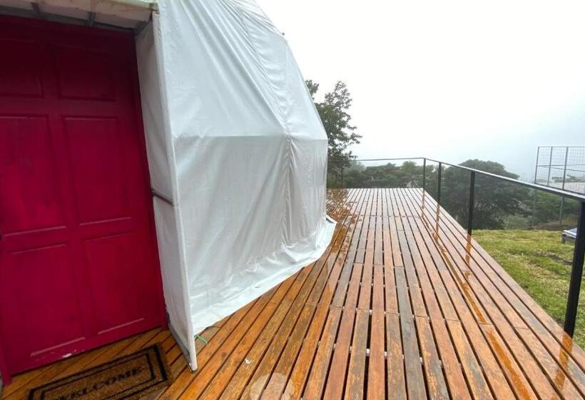 스위트 킹사이즈 침대, Féliza Rainforest Domes