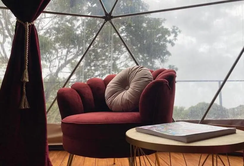 キングサイズベッドのスイートルーム, Féliza Rainforest Domes